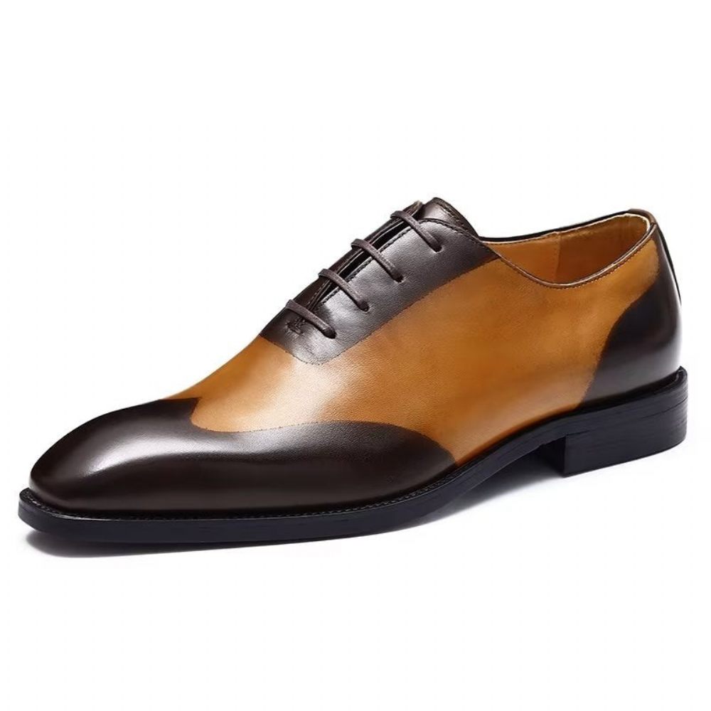 Chaussures Habillées Oxford Pour Hommes - Café