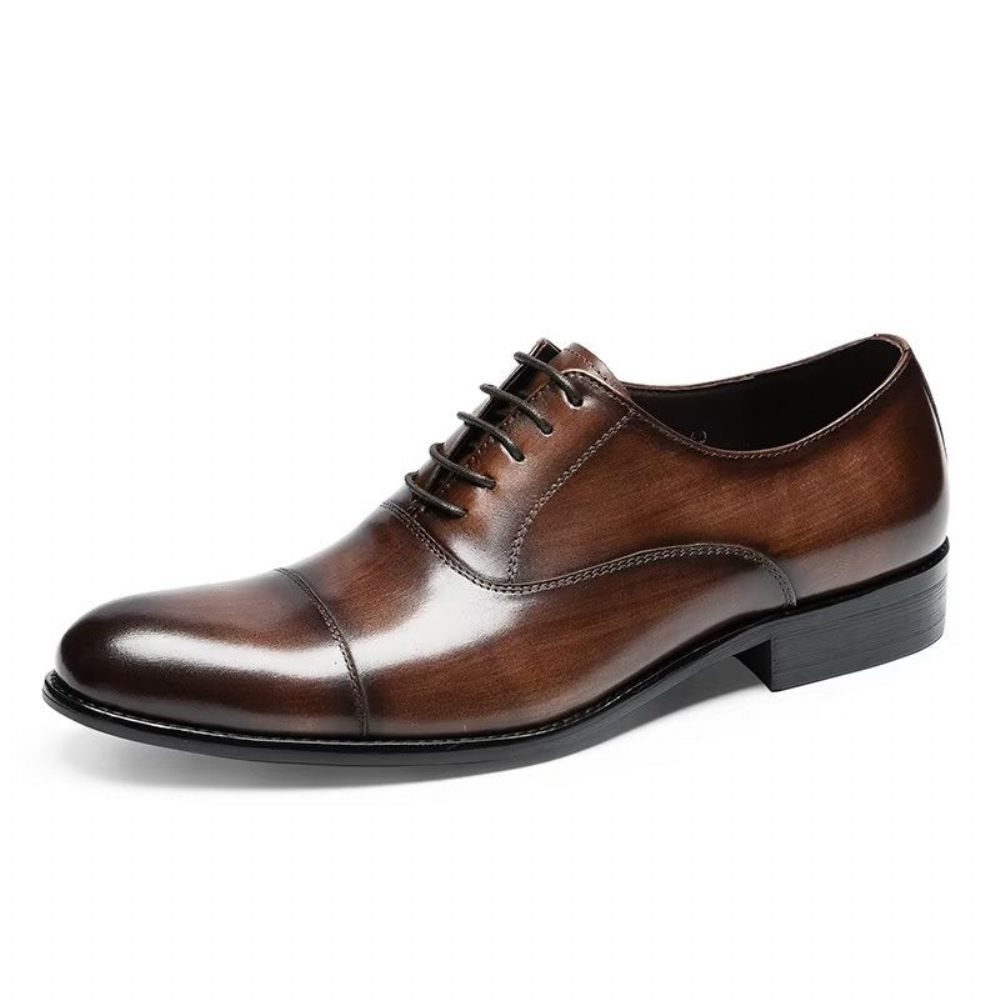 Chaussures Habillées Oxford Pour Hommes - Café