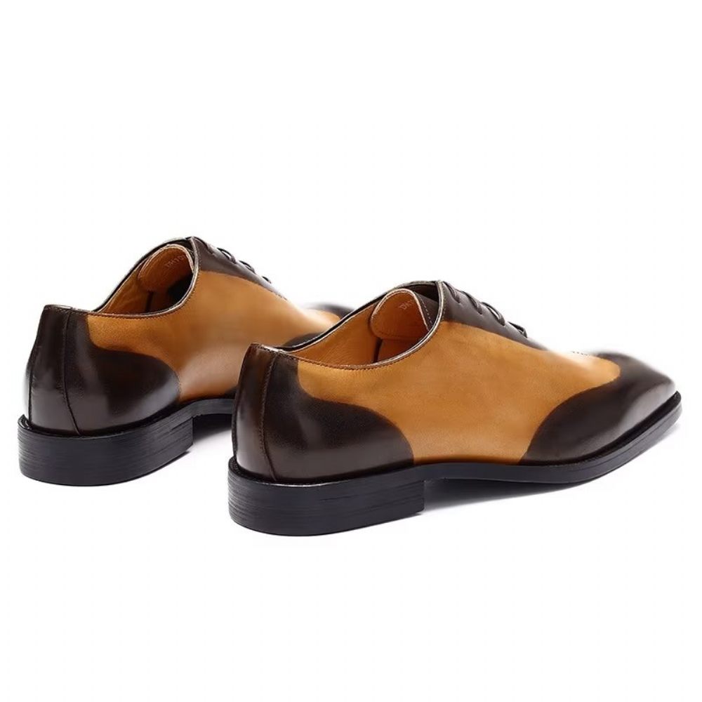 Chaussures Habillées Oxford Pour Hommes - Café