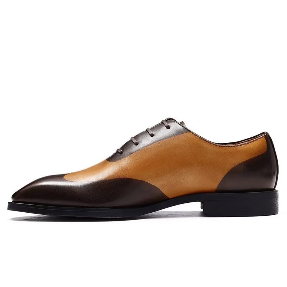 Chaussures Habillées Oxford Pour Hommes - Café