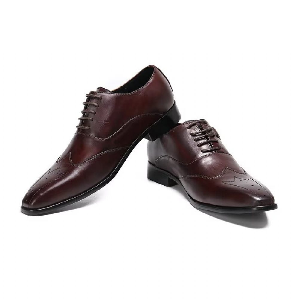 Chaussures Habillées Oxford Luxe À Bout Carré Pour Hommes - Café