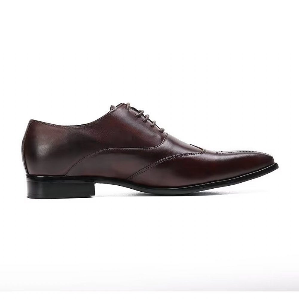 Chaussures Habillées Oxford Luxe À Bout Carré Pour Hommes - Café