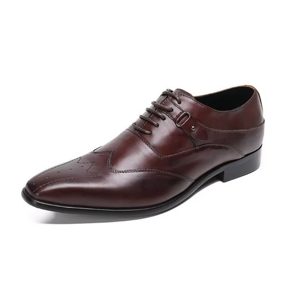 Chaussures Habillées Oxford Luxe À Bout Carré Pour Hommes - Café