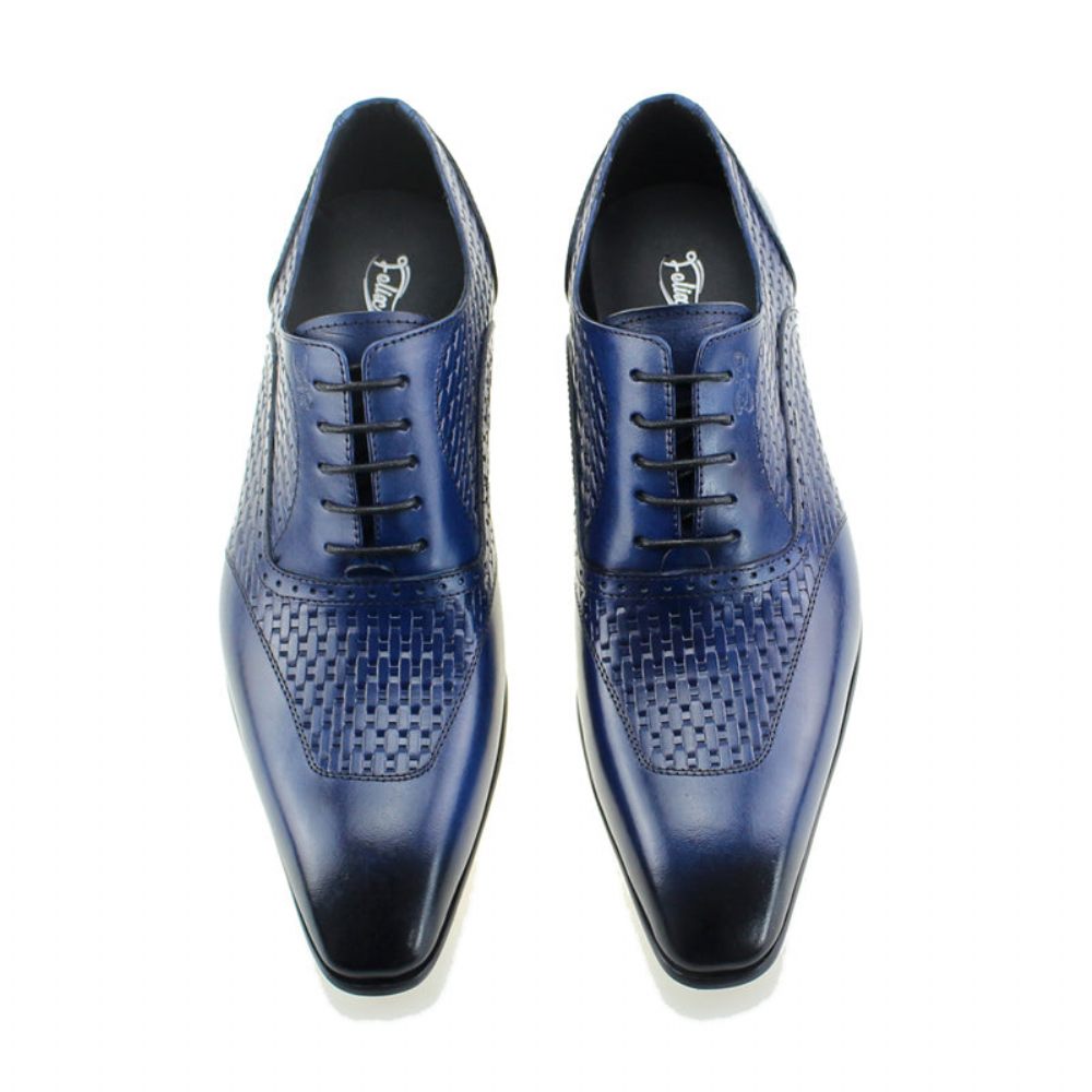 Chaussures Habillées Oxford À Motif Exotique Pour Hommes - Bleu