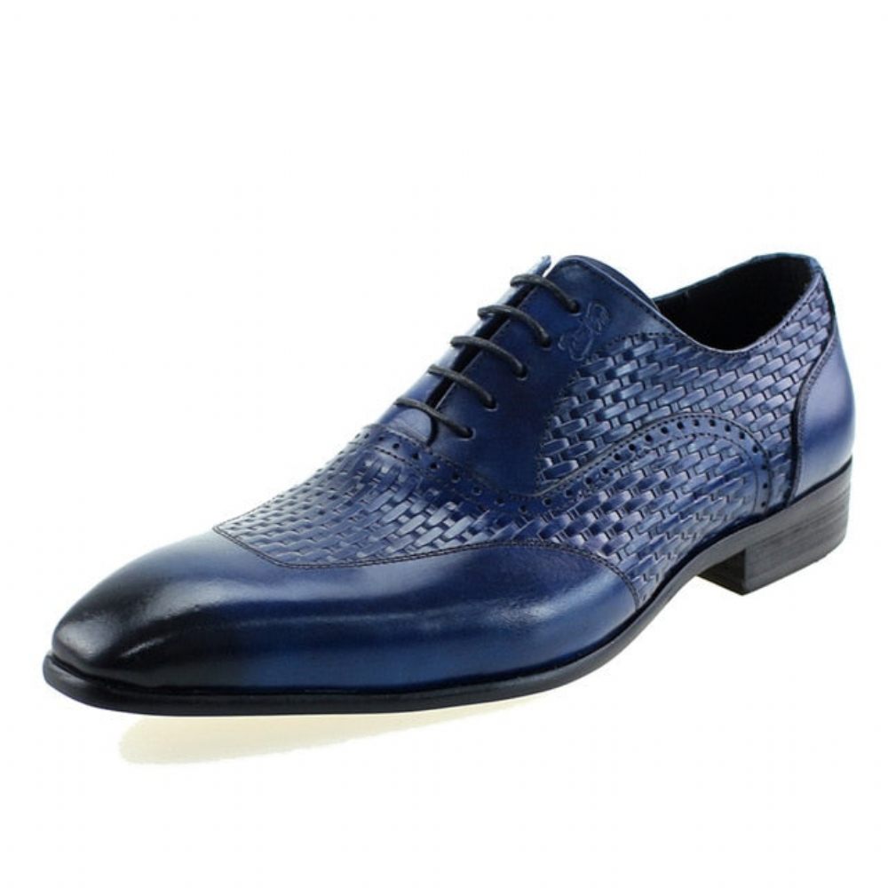 Chaussures Habillées Oxford À Motif Exotique Pour Hommes - Bleu