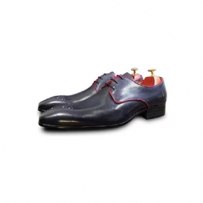 Chaussures Habillées Pointues Cuir Véritable Pour Hommes