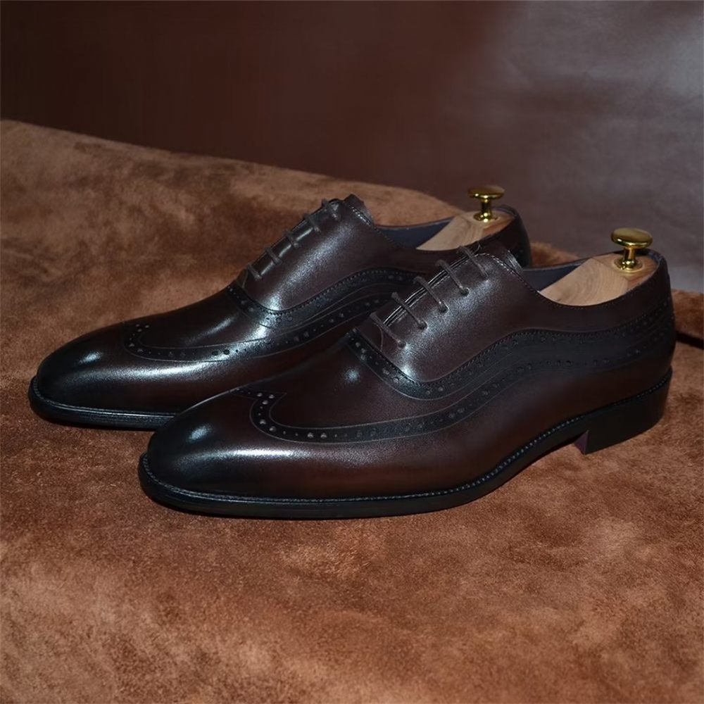 Chaussures Habillées Sophistiquées À Lacets Pour Hommes - Café