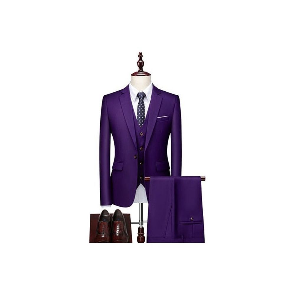 Costumes Pour Hommes Ensemble Costume Blazer Et Pantalon Acétate - Violet