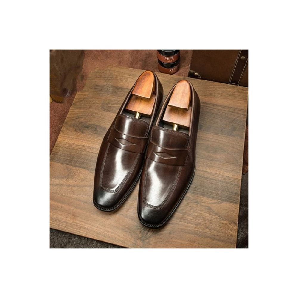 Mocassins Pour Hommes Chaussures Richelieu Exotiques À Bout Pointu - Café