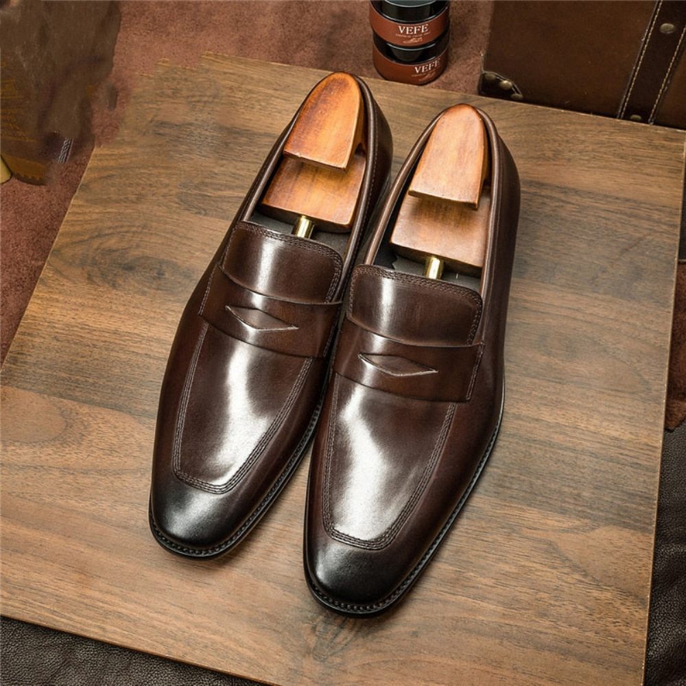 Mocassins Pour Hommes Chaussures Richelieu Exotiques À Bout Pointu - Café