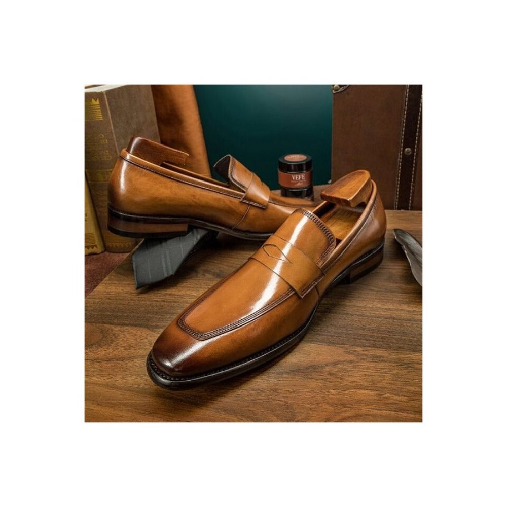 Mocassins Pour Hommes Chaussures Richelieu Exotiques À Bout Pointu - Marron