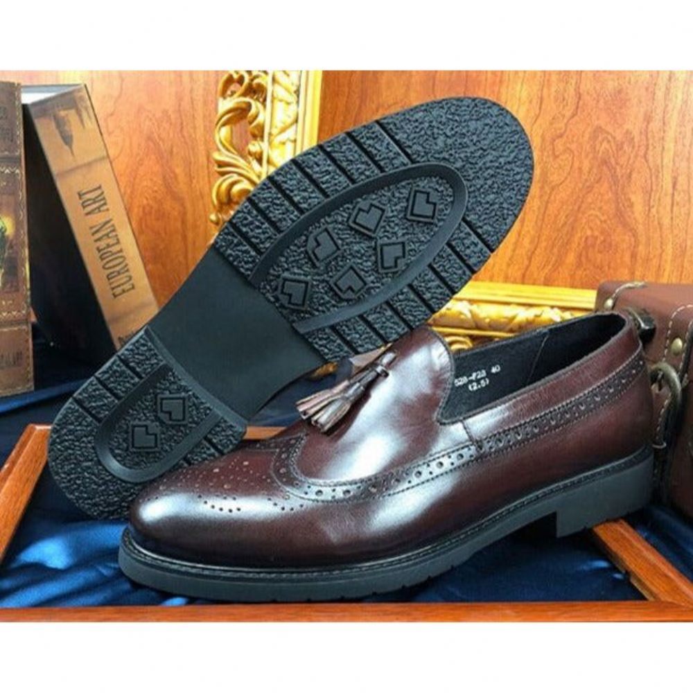 Mocassins Pour Hommes Chaussures Richelieu Exotiques À Enfiler - Café