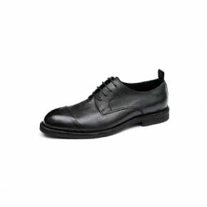 Mocassins Pour Hommes Cuir Chaussures Derby Élégantes