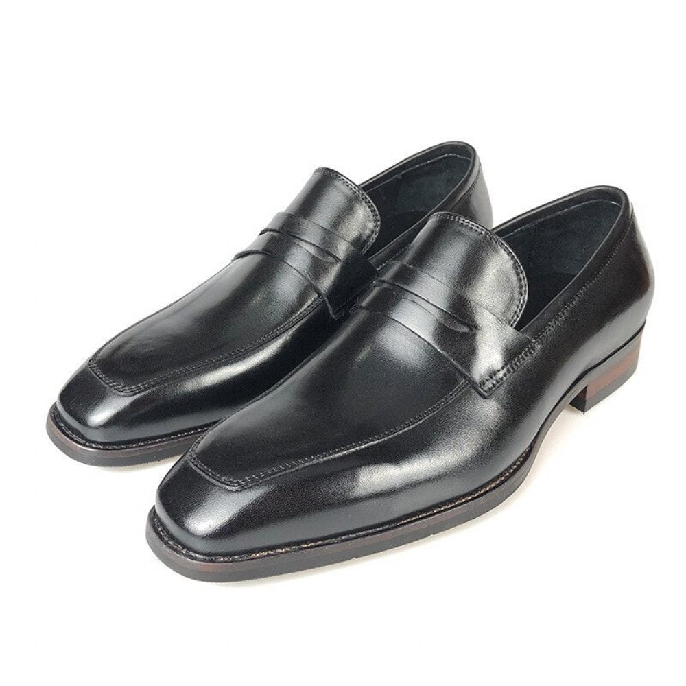 Mocassins Pour Hommes Cuir Exotique Chaussures Richelieu D'affaires À Bout Pointu - Noir