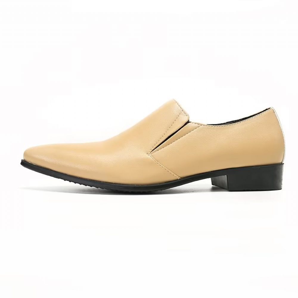 Mocassins Pour Hommes À Enfiler Élégants Cuir Lisse Luxe - Beige