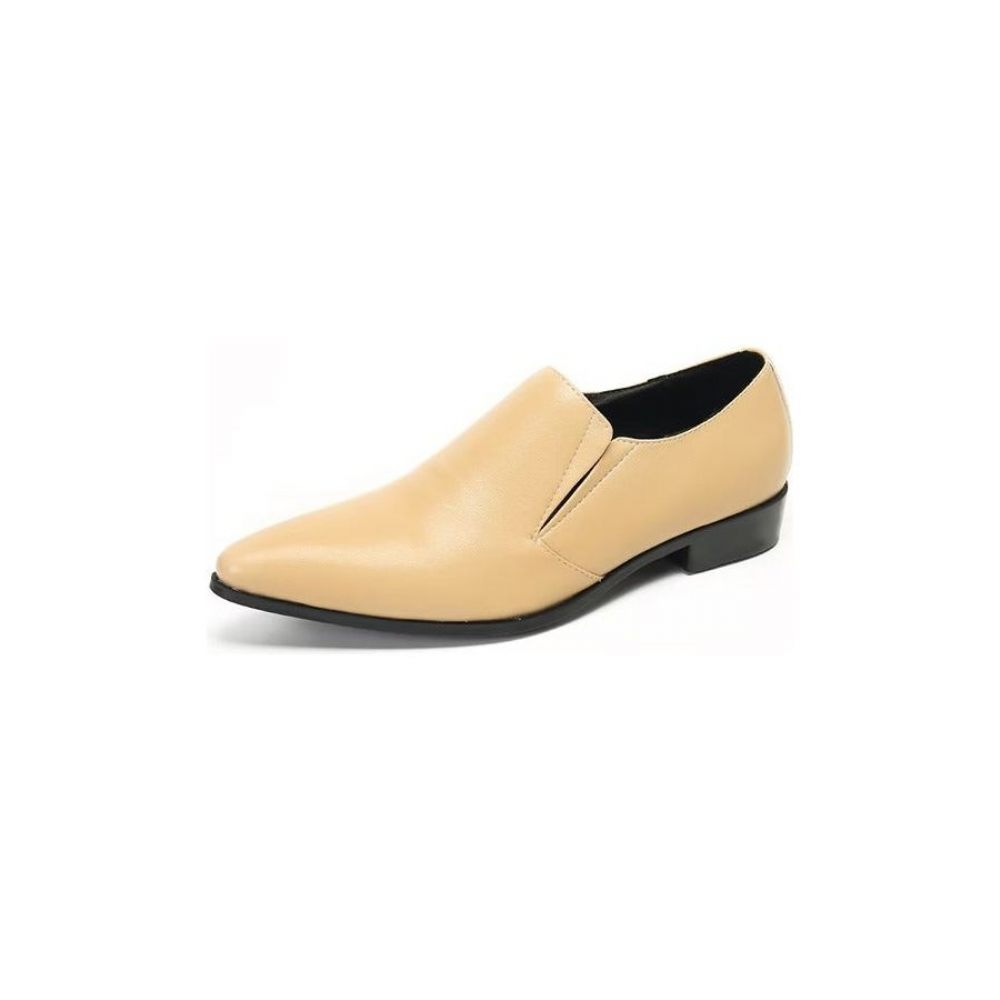 Mocassins Pour Hommes À Enfiler Élégants Cuir Lisse Luxe - Beige