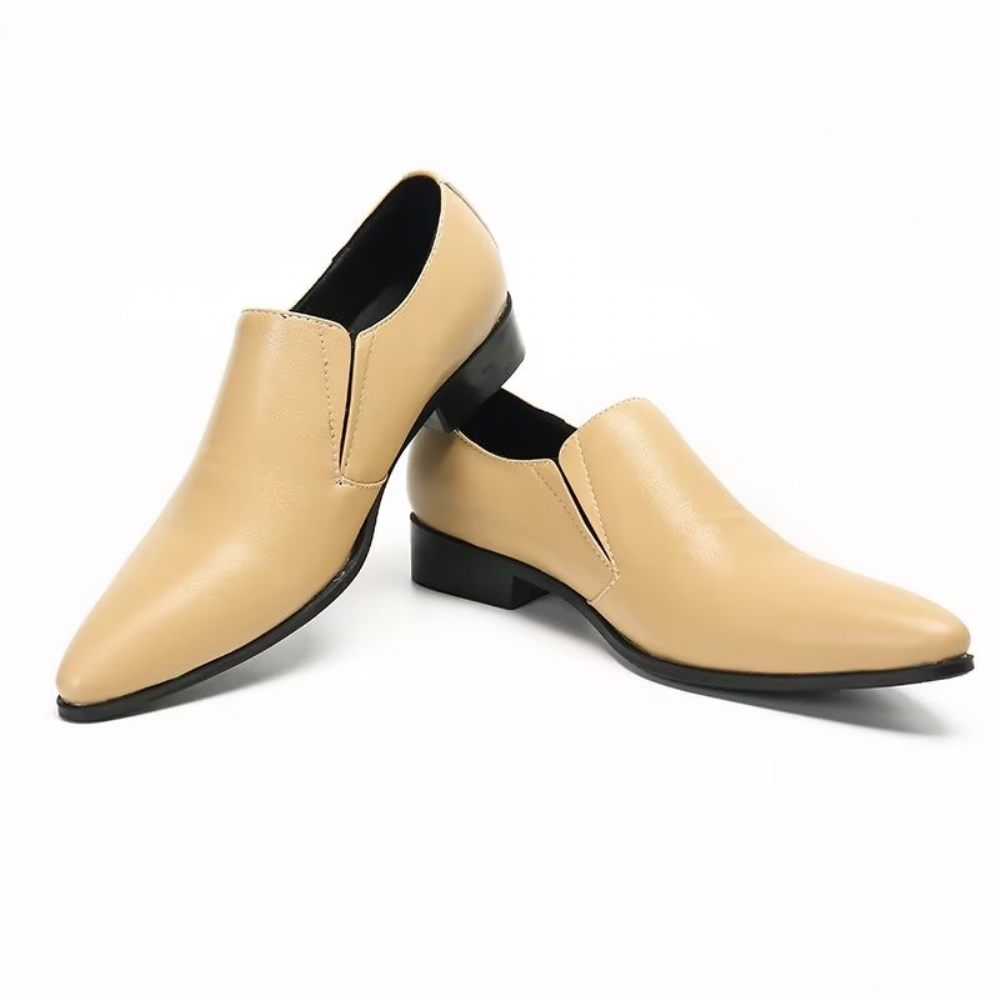 Mocassins Pour Hommes À Enfiler Élégants Cuir Lisse Luxe - Beige