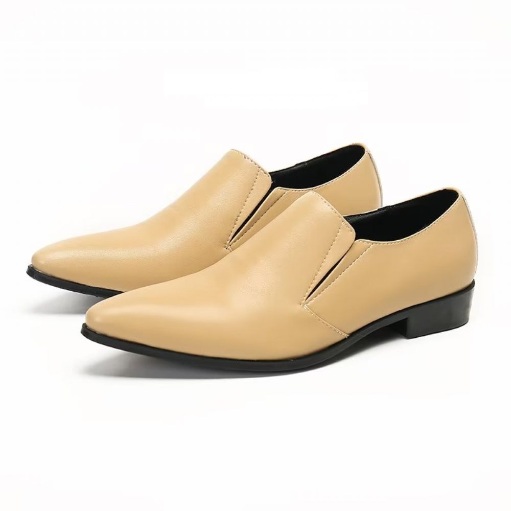 Mocassins Pour Hommes À Enfiler Élégants Cuir Lisse Luxe - Beige