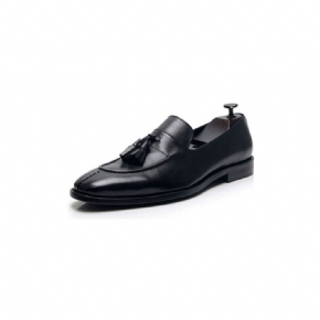 Mocassins Pour Hommes Habillés Oxford Cuir Exotique