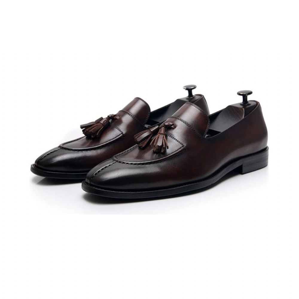 Mocassins Pour Hommes Habillés Oxford Cuir Exotique - Café