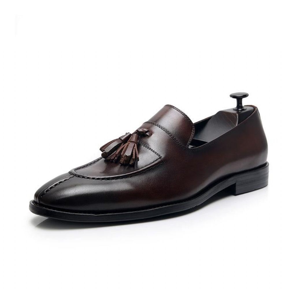 Mocassins Pour Hommes Habillés Oxford Cuir Exotique - Café