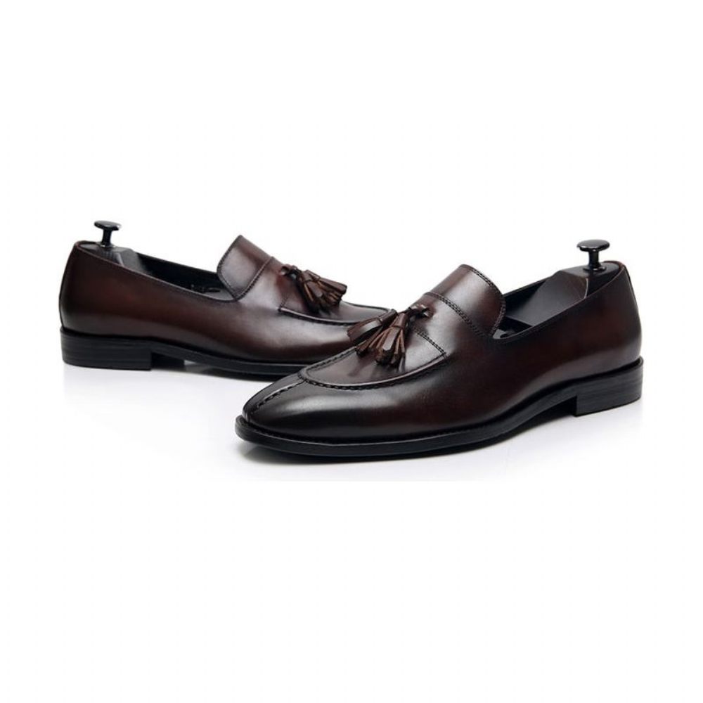 Mocassins Pour Hommes Habillés Oxford Cuir Exotique - Café