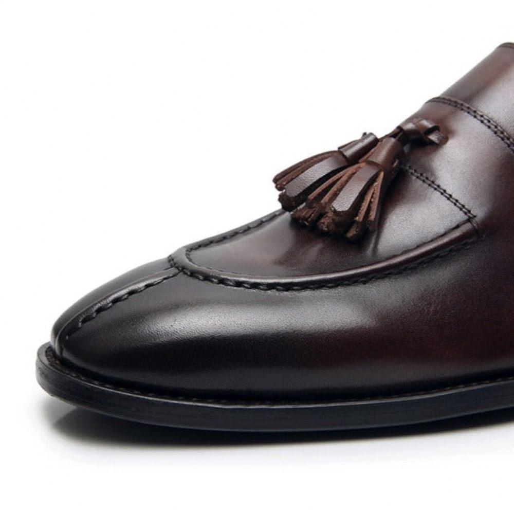 Mocassins Pour Hommes Habillés Oxford Cuir Exotique - Café