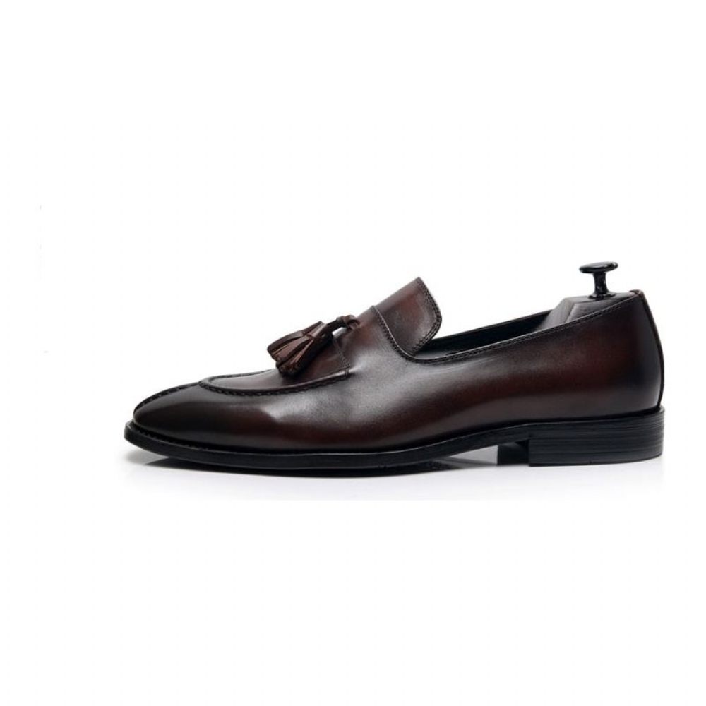 Mocassins Pour Hommes Habillés Oxford Cuir Exotique - Café