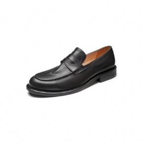 Mocassins Pour Hommes Modish Slip On Penny Loafers