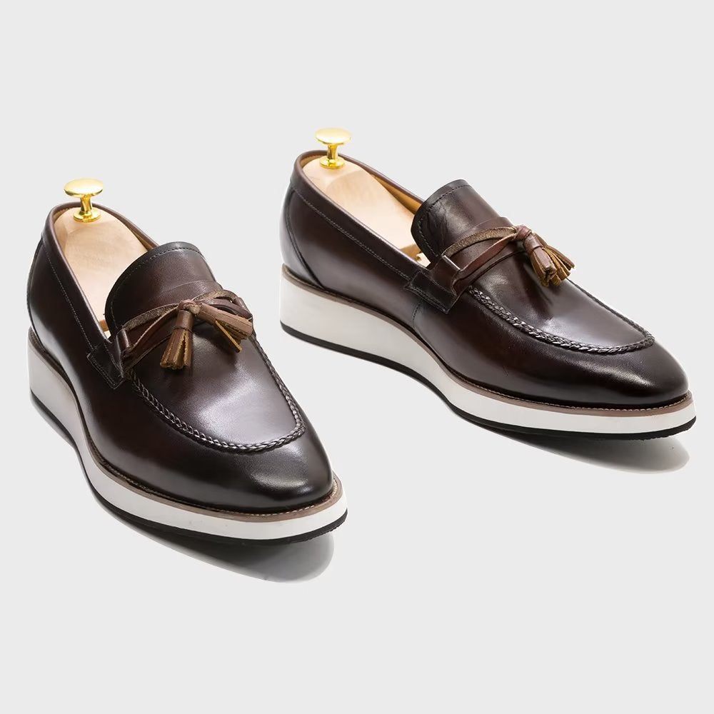 Mocassins Pour Hommes À Pampilles Élégants Cuir Luxe - Café