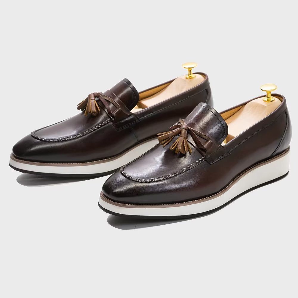 Mocassins Pour Hommes À Pampilles Élégants Cuir Luxe - Café