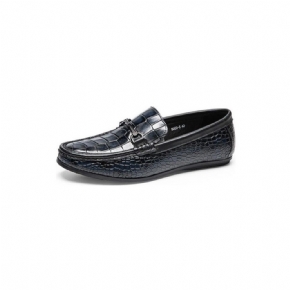 Mocassins Pour Hommes Penny Cuir À Imprimé Alligator Luxe